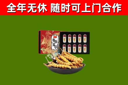松山烟酒回收冬虫夏草礼盒.jpg